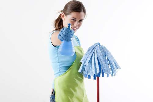 Professional oven cleaning in a Marylebone kitchen