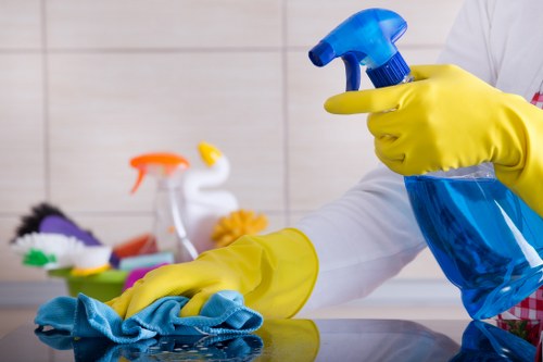 Local carpet cleaning service working in a Marylebone apartment