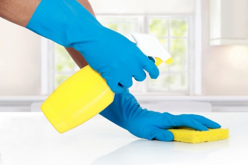 Professional carpet cleaning in a Marylebone home interior