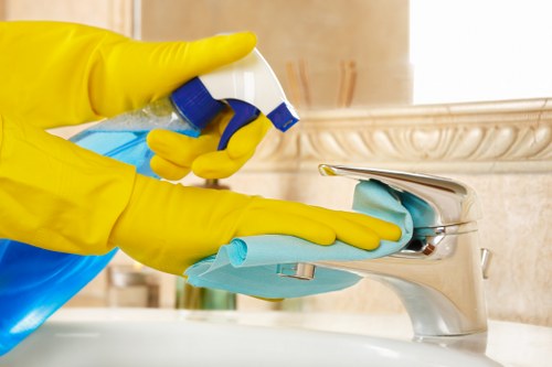 Detailed oven cleaning service in Marylebone with shelves and trays removed