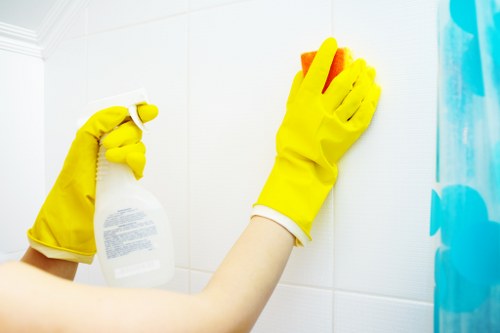 Leather sofa cleaning and conditioning service