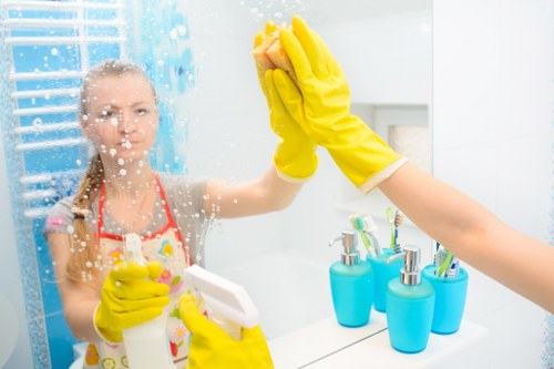 Specialist oven cleaner in Marylebone polishing oven glass and interior surfaces